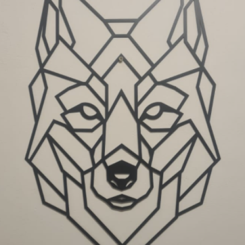 image-20230811-080931