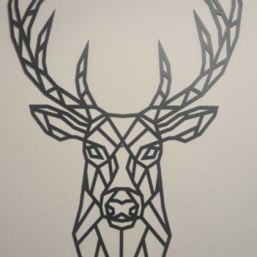 image-20230811-080942